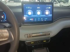 BYD Seagull Glory Edition 305km Vitality Version - ფოტო 13