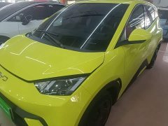 BYD Seagull Glory Edition 305km Vitality Version - ფოტო 2