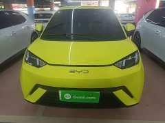 BYD Seagull Glory Edition 305km Vitality Version - ფოტო 3