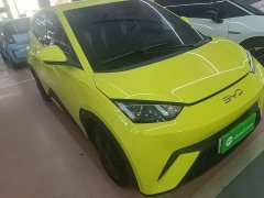 BYD Seagull Glory Edition 305km Vitality Version - ფოტო 4