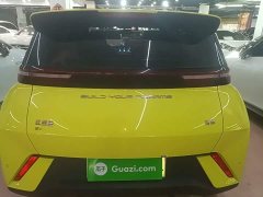 BYD Seagull Glory Edition 305km Vitality Version - ფოტო 6