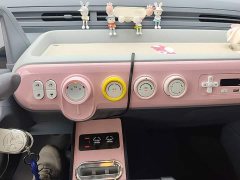 FAW Besturn Xiaoma 170km Vitality Edition - ფოტო 13