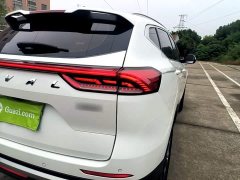 Haval H6 National Trend 1.5GDIT Automatic Champion Edition - ფოტო 8