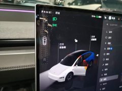 Tesla Model Y L Long Range All-Wheel Drive - ფოტო 14