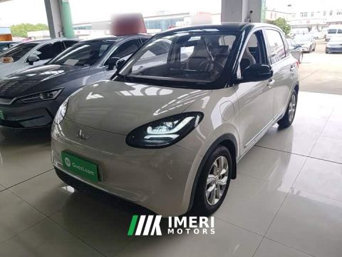2025 Wuling Binguo 333km Joy Edition