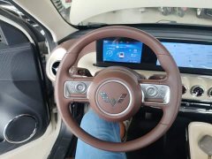 Wuling Binguo 333km Joy Edition - ფოტო 11