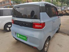 Wuling Hongguang MINIEV Easy Edition LFP Battery - ფოტო 7