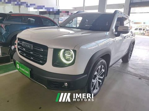 2022 Great Wall Dachshund 2021 1.5T DCT Two-Wheel Drive Border Collie Edition - ავტომობილი ჩინეთიდან