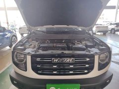 Great Wall Dachshund 2021 1.5T DCT Two-Wheel Drive Border Collie Edition - ფოტო 20