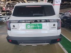 Great Wall Dachshund 2021 1.5T DCT Two-Wheel Drive Border Collie Edition - ფოტო 6
