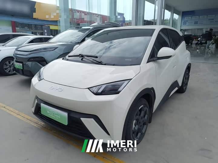 BYD Seagull 2025 305km Freedom Edition - ავტომობილი ჩინეთიდან