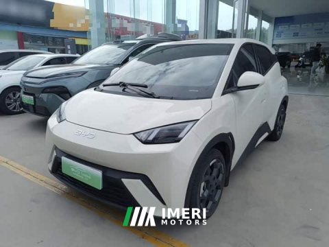 2024 BYD Seagull 2025 305km Freedom Edition - ავტომობილი ჩინეთიდან