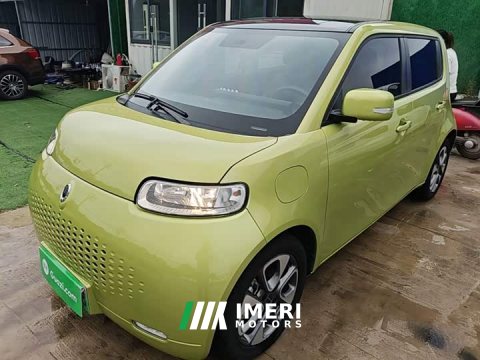 2021 ORA White Cat 2020 305km Luxury - ავტომობილი ჩინეთიდან