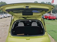 ORA White Cat 2020 305km Luxury - ფოტო 19