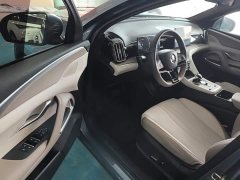 BYD Song Pro New Energy 2023 Champion Edition DM-i 71KM Leading Type - ფოტო 16
