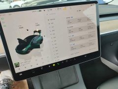 Tesla Model 3 2022 Rear-Wheel Drive - ფოტო 12