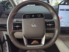 Li Auto Li Xiang MEGA 2024 Ultra - ფოტო 11