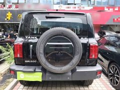 Tank 300 Off-Road Edition 2.0T Conqueror - ფოტო 6