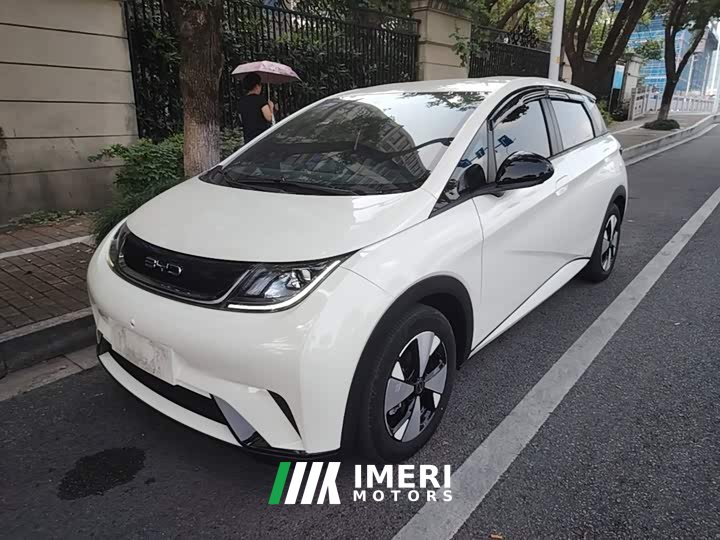 BYD Dolphin 420km Freedom Edition