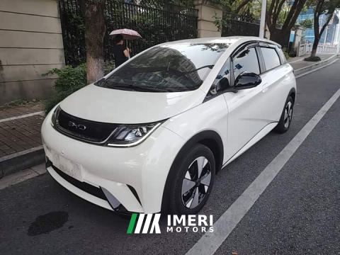 2023 BYD Dolphin 420km Freedom Edition