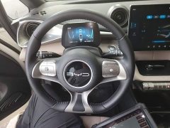 BYD Dolphin 420km Freedom Edition - ფოტო 11