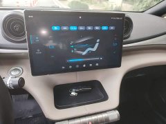 BYD Dolphin 420km Freedom Edition - ფოტო 13