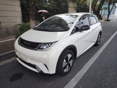 BYD Dolphin 420km Freedom Edition - ფოტო 2