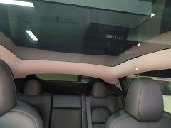 Tesla Model Y Rear-Wheel Drive - ფოტო 18