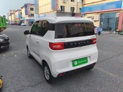 Wuling Hongguang MINIEV 2020 Deluxe Edition LFP Battery - ფოტო 5