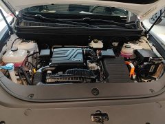 BYD Song Pro New Energy DM-i 110KM Glory Edition Exceed - ფოტო 20