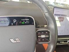 Li Auto L7 Max - ფოტო 14