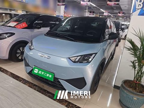 2025 BYD Seagull Smart Drive 305km Vitality Edition - ავტომობილი ჩინეთიდან