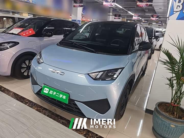 BYD Seagull Smart Drive 305km Vitality Edition