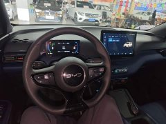 BYD Seagull Smart Drive 305km Vitality Edition - ფოტო 10