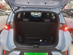 BYD Seagull Smart Drive 305km Vitality Edition - ფოტო 19