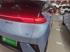 BYD Seagull Smart Drive 305km Vitality Edition - ფოტო 8