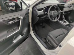 Toyota RAV4 2023 2.0L CVT FWD 20th Anniversary Platinum Edition - ფოტო 16