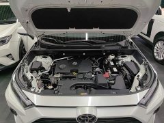 Toyota RAV4 2023 2.0L CVT FWD 20th Anniversary Platinum Edition - ფოტო 20