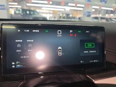 BYD Dolphin 06 DM-i Smart Drive Edition 80KM Luxury - ფოტო 12