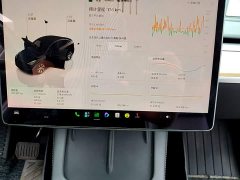Tesla Model Y Long Range All-Wheel Drive - ფოტო 12
