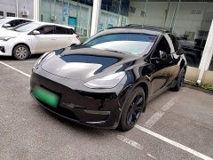 Tesla Model Y Long Range All-Wheel Drive - ფოტო 2