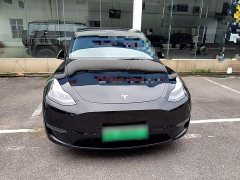 Tesla Model Y Long Range All-Wheel Drive - ფოტო 3