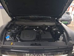 Haval Manlong New Energy Hi4 200 Ultra Ternary Lithium - ფოტო 20