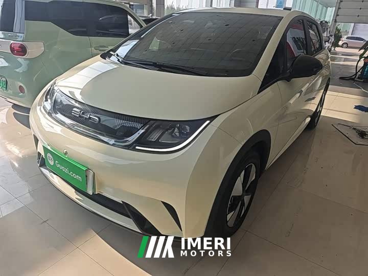 BYD Dolphin 2023 420km Freedom Edition - ავტომობილი ჩინეთიდან