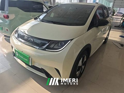 2024 BYD Dolphin 2023 420km Freedom Edition - ავტომობილი ჩინეთიდან