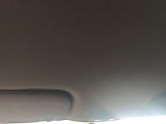 BYD Dolphin 2023 420km Freedom Edition - ფოტო 18