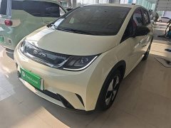 BYD Dolphin 2023 420km Freedom Edition - ფოტო 2