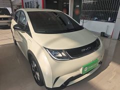 BYD Dolphin 2023 420km Freedom Edition - ფოტო 4