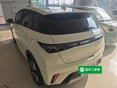 BYD Dolphin 2023 420km Freedom Edition - ფოტო 5