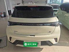 BYD Dolphin 2023 420km Freedom Edition - ფოტო 6